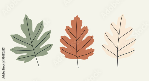 Three Leaves in Different Colors and Shapes.
