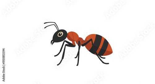 A striking cartoon illustration of an ant, showcasing its segmented body and distinctive orange and black stripes against a pure white backdrop for