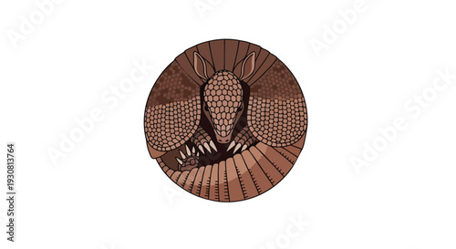 A charming, stylized illustration of an armadillo curled into a protective ball shape, showcasing its segmented armor and sharp claws, perfect for