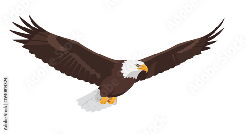 Majestic bald eagle soaring with widespread wings against a pristine white backdrop, embodying freedom and powerful flight, a symbol of wild spirit