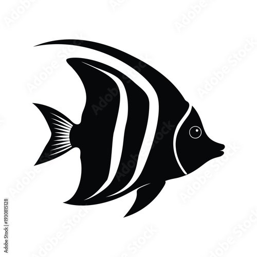 angelfish silhouette vector illustration, Elegant black and white angelfish silhouette vector illustration showcasing intricate details