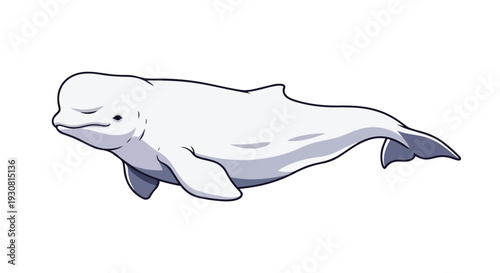 Cartoon beluga whale illustration with closed eyes and smooth body contours on a white background