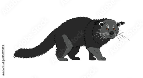 A whimsical cartoon depiction of a binturong, a fascinating mammal with a long bushy tail and distinct facial markings on a plain white background