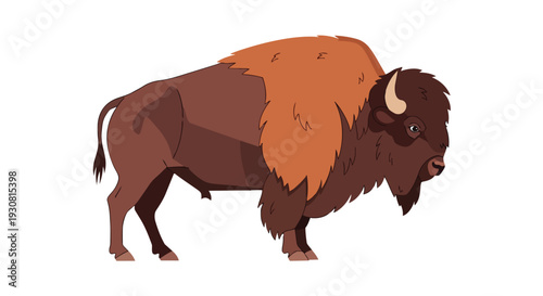 Majestic Illustrated Bison Standing Proudly Against a Clean White Background