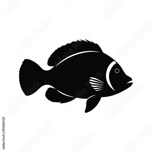 Elegant black and white fish silhouette vector illustration showcasing aquatic life design, anthias fish silhouette vector illustration