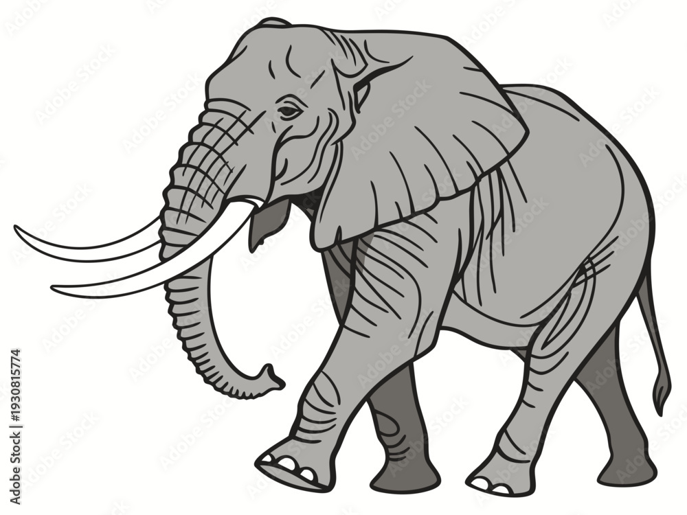 Fototapeta premium elephant cartoon isolated on white