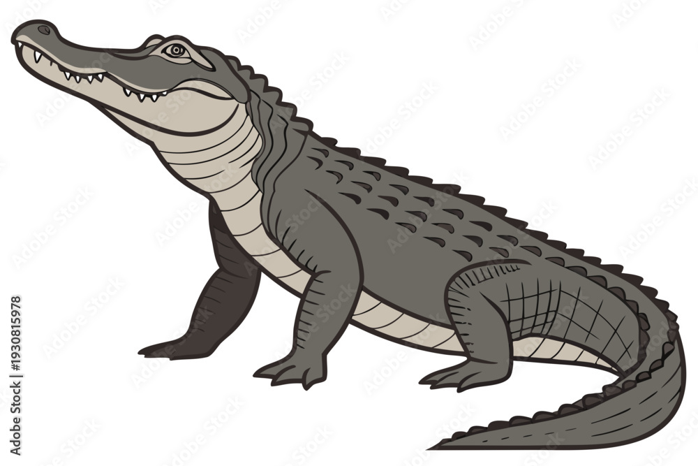 Fototapeta premium cartoon crocodile isolated on white