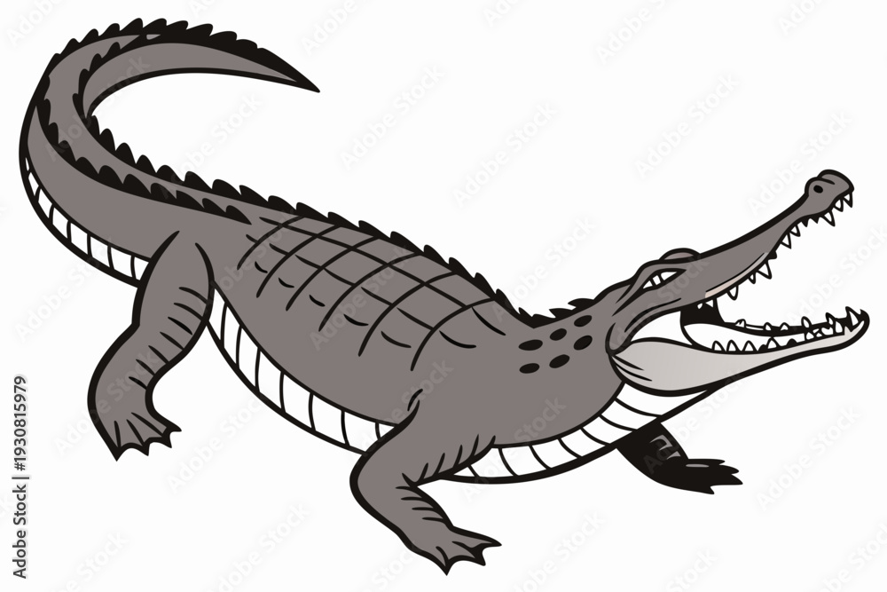 Fototapeta premium tyrannosaurus dinosaur vector illustration