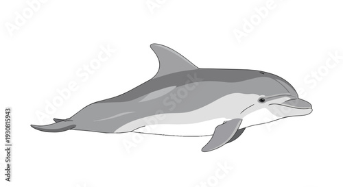 Stylized depiction of a graceful marine mammal, a dolphin, in a clean, minimalist illustration with its distinctive dorsal fin and friendly