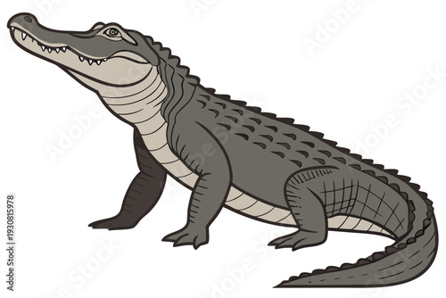 cartoon crocodile isolated on white
