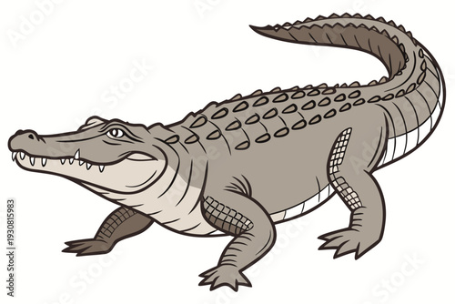 tyrannosaurus rex dinosaur vector
