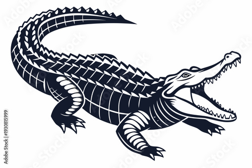 crocodile in a black background