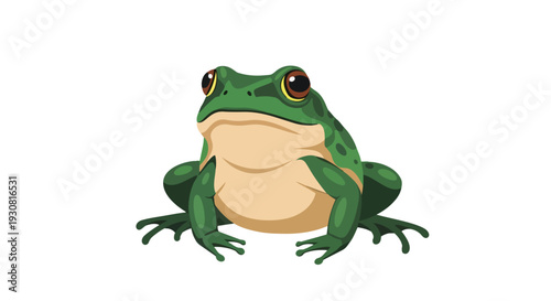 A detailed illustration of a green frog with big, curious eyes, showcasing its natural amphibian form and earthy tones against a stark white