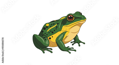 Vibrant green amphibian with yellow underbelly and dark spots sits alertly