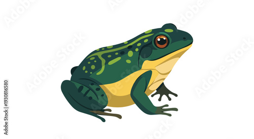 A charmingly illustrated amphibian, this green and yellow frog, with its distinct markings and large, expressive eyes, sits poised for action on a