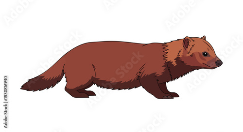 A stylized cartoon illustration of a brown wolverine creature with sharp teeth and fur detail