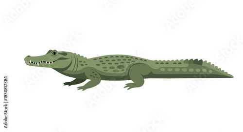 A stylized green alligator illustration with visible teeth and a textured body, isolated on a white background, depicting a reptilian creature in a