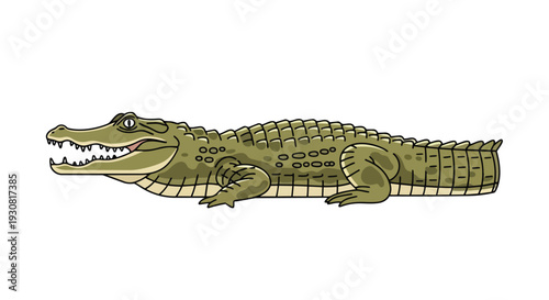 Stylized cartoon alligator illustration on a white background
