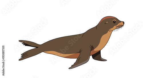 Charming illustration of a brown sea lion with distinct markings and an inquisitive gaze against a clean white backdrop