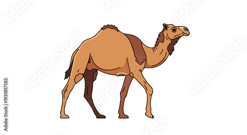 A digitally rendered illustration of a dromedary camel isolated on a plain white background showcasing its distinctive hump and sandy colored fur