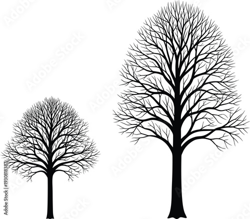 Set of traditional Spanish flamenco dancer silhouettes, elegant women in folkloric dresses performing emotional Latin dance, vector illustrations for cultural design.