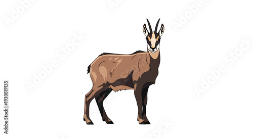 Illustrative Depiction of a Standing Chamois with Distinctive Horns and Facial Markings on a Pure White Backdrop