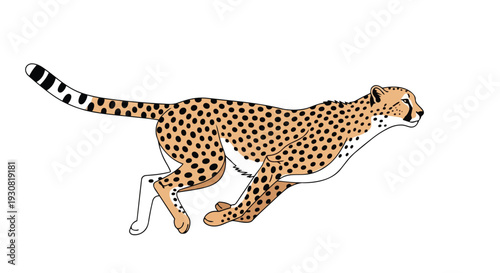 Illustrative depiction of a cheetah in full sprint, showcasing its characteristic spotted coat and dynamic motion captured in a clean graphic style.