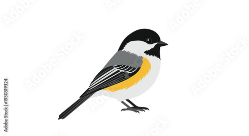 A charming illustration of a small chickadee bird rendered in a clean, modern graphic style on a pure white backdrop