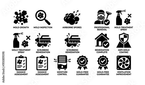 Comprehensive mold remediation and treatment process icons