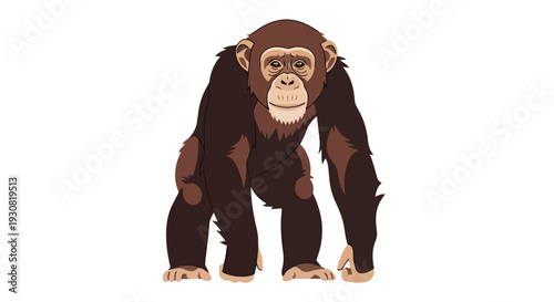 A simple, stylized illustration of a chimpanzee standing on all fours, showcasing its primate features in a clear, isolated depiction
