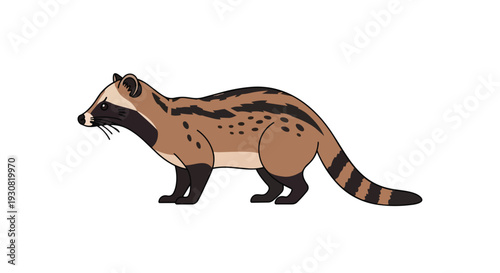 An animated illustration of a civet, a mammal known for its distinct markings, presented in a clear white background