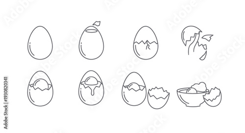 Hatching Eggs Line Drawing Stages Process.