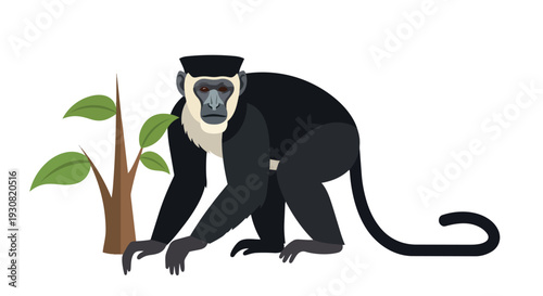 Stylized illustration of a black and white colobus monkey crouching beside a small leafy plant, isolated on a white background