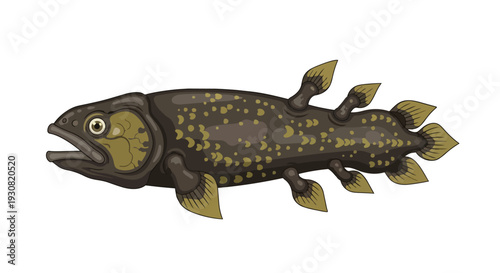Ancient Coelacanth Fish Illustration with Lobed Fins and Unique Spotted Pattern on White Background