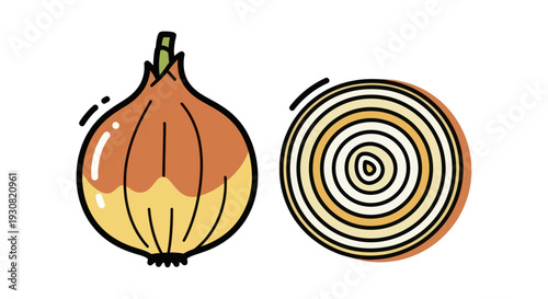 Onion and Onion Rings Illustration Art.