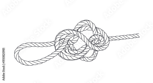 Detailed Illustration of a Bowline Knot.