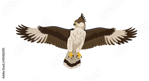 Majestic raptor soaring with expansive wingspan captured in a crisp, clean illustration showcasing its intricate plumage and keen gaze, a symbol of