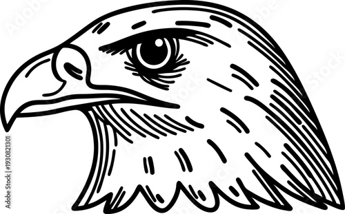Eagle head illustration in black and white line art wild bird profile with sharp beak and detailed feathers
