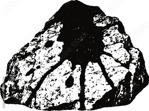 Black and white charcoal piece rough textured irregular coal lump for heating and energy