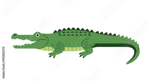 Vibrant stylized illustration of a friendly green alligator with a cheerful expression and visible teeth on a clean white background