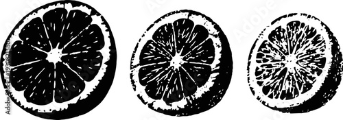black and white citrus fruit slices illustration vintage hand drawn orange, lemon, lime cross section set