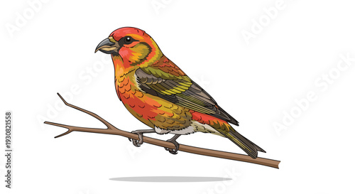 Vividly illustrated red crossbill perched delicately on a simple branch against a clean white background, showcasing its unique beak formation and