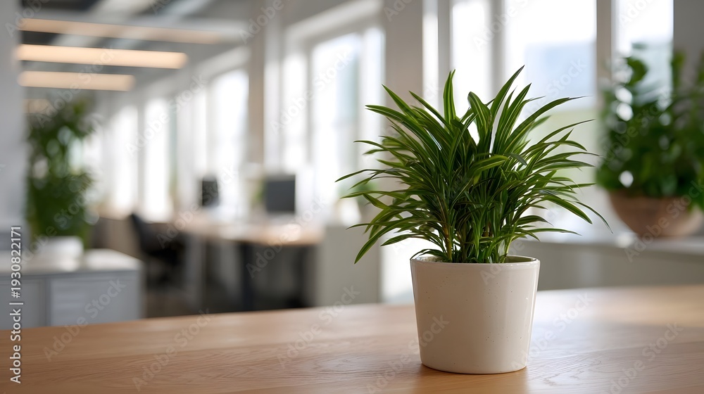 Fototapeta premium A vibrant green potted plant rests on a wooden desk in a modern softly blurred office environment suggesting calm and nature indoors