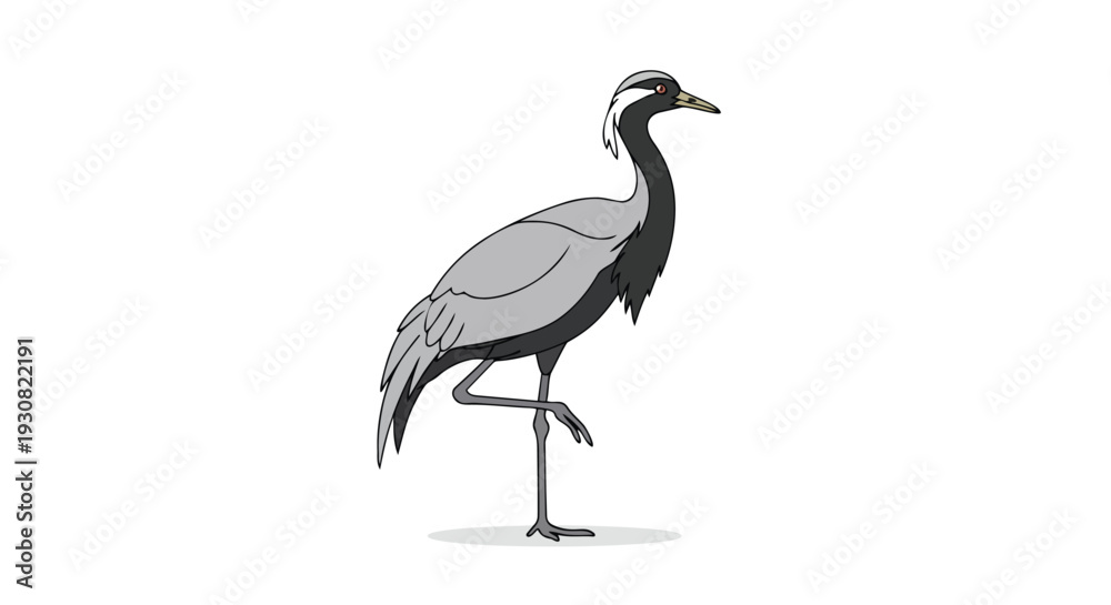 Fototapeta premium Whimsical cartoon illustration of a grey crowned crane standing elegantly on one leg against a pristine white backdrop, capturing its unique avian