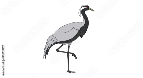 A charming cartoon illustration of a demoiselle crane standing gracefully on one leg with a white background