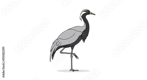 Whimsical cartoon illustration of a grey crowned crane standing elegantly on one leg against a pristine white backdrop, capturing its unique avian