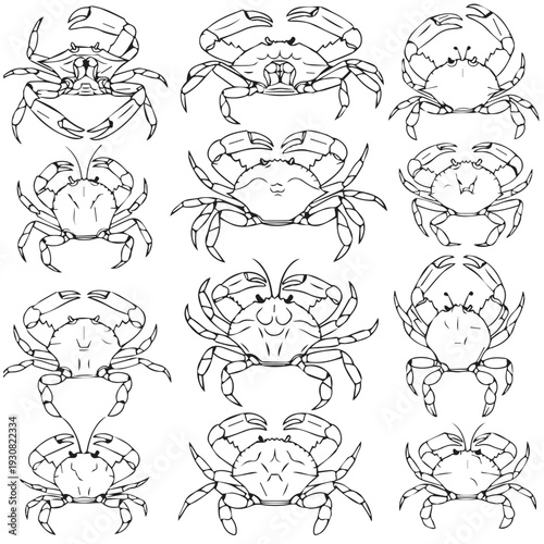 Collection of Hand Drawn Crab Illustrations with Different Poses and Expressions Line Art