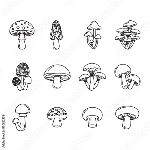 Collection of Hand Drawn Mushroom Icons with Various Shapes and Details