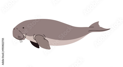 Stylized Illustration of a Gentle Aquatic Mammal with Whiskers and Flippers