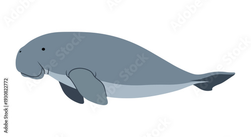 A whimsical cartoon depiction of a gentle, grey manatee or dugong swimming peacefully in an aquatic environment, isolated on a white background for